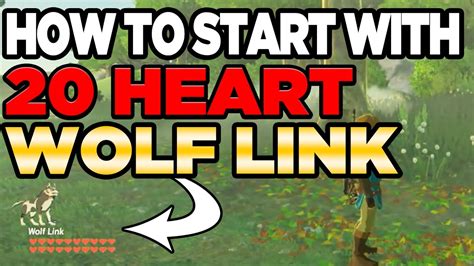 How to get 20 heart Wolf Link without playing Twilight Princess